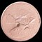 3D Premium Sculpture Painting Paste|Texture Paste|Decorative Plaster|Ready to Use|Ideal for Artwork|Stencil|Flowers|Texture|Art Relief|New Formula| 6 oz by Volume|Ezgi Sertcetin